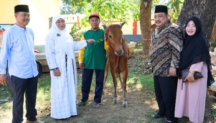 Berkah Idul Adha 2023, Sekda Edy Dampingi Wabup Sumenep Serahkan Hewan Kurban