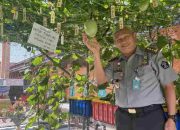 Tingkatkan Program pembinaan Lapas Pamekasan Berikan Pelatihan Hidroponik Bagi Warga Binaan