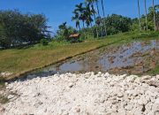 Rusak Lahan Pertanian Warga 5 Oknum Perangkat Desa di Polisikan