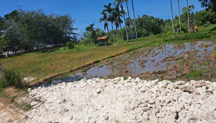 Rusak Lahan Pertanian Warga 5 Oknum Perangkat Desa di Polisikan