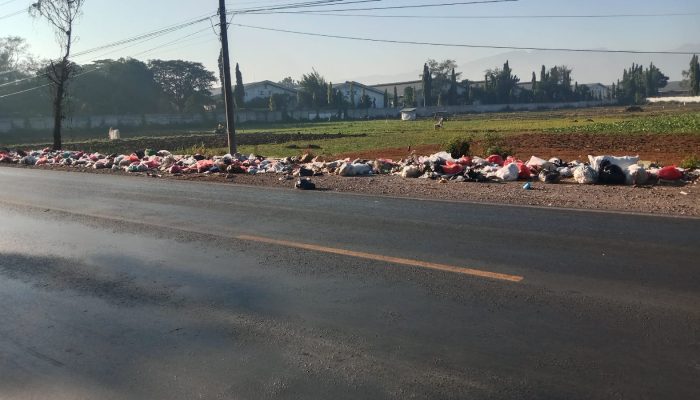 Minim TPS Sampah Berserakan, Warga Minta DLH Turun Tangan