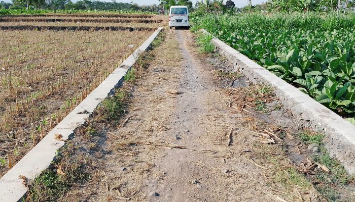 Ketua LSM GMPK Lumajang Laporkan Sekdes Besuk Atas Dugaan Tindak Pidana Korupsi Program PTSL