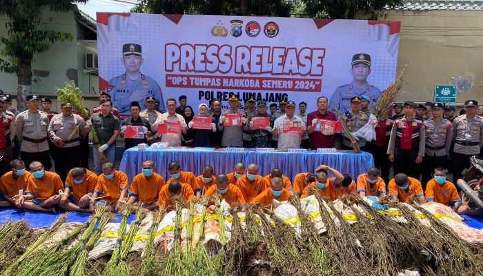 Polres Lumajang Ungkap 16 Kasus Narkoba, Amankan 20 Tersangka dan Ribuan Batang Pohon Ganja