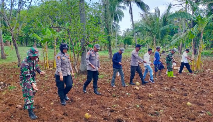 Dukung Program Ketahanan Pangan, Polsek Masalembu: Manfaatkan Lahan Dengan Tanaman Yang Bernilai Ekonomis
