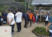 Pembibitan Mangrove, Upaya IGI dan FRPB Pamekasan Kurangi Efek Perubahan Iklim