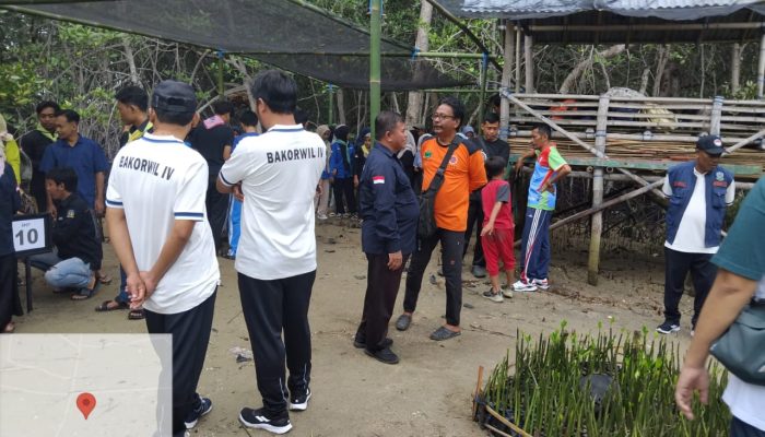 Pembibitan Mangrove, Upaya IGI dan FRPB Pamekasan Kurangi Efek Perubahan Iklim