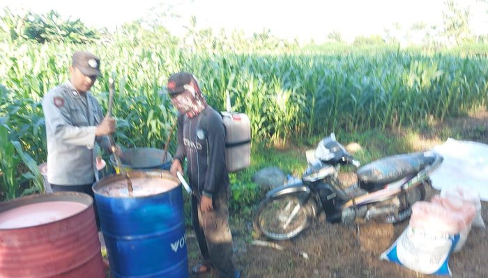 FOTO: Kegiatan pemupukan tanaman jagung bersama kelompok tani ini dipimpin langsung oleh Polisi Penggerak Ketahanan Pangan, Aiptu Luqman Santosa