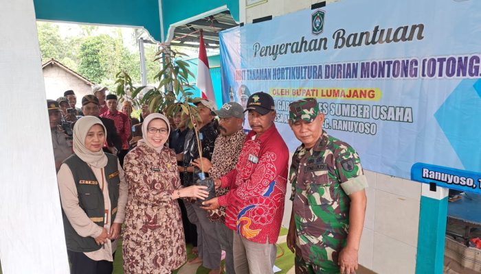 Bupati Lumajang Mengangkat Potensi Hortikultura Durian Montong