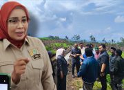 Lahan PT. Kalijeruk Dialih fungsikan Jadi Kebun Tebu, Salah siapa?