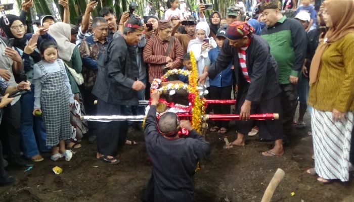 Prosesi Pendem Kepala Sapi Di Sumber Mata Air Hutan Bambu