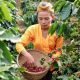 Foto: Tampak seorang petani perempuan tengah memetik buah kopi Senduro yang terletak di area Kaki Gunung Semeru