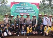 Dukung Swasembada Pangan Nasional, Kapolres Lumajang Tanam Jagung Serentak Kuartal III di Senduro