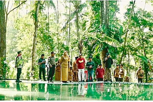 Foto: Bupati Lumajang Indah Amperawati kunjungi Wisata Desa Sumber Randu Pinus di Ranuyoso