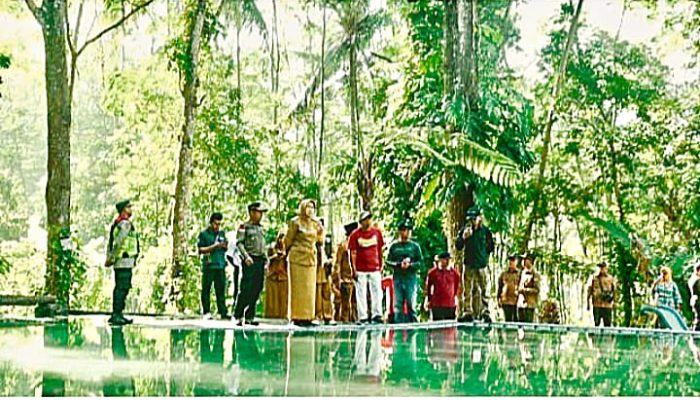 Pemkab Lumajang Dorong Wisata Desa Sumber Randu Pinus Jadi Contoh Nyata