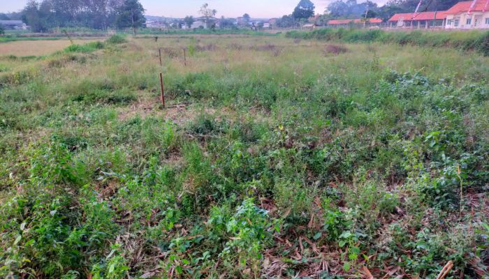 Mimpi Jadi Nyata, Pembangunan Gedung Puskesmas Ganding Bakal Dimulai Warga Berharap Sesuai Ekspektasi