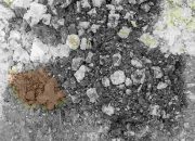 Proyek Jalan di Manding Laok Disoal: Aktivis Desak Inspektorat Audit Dana Desa Rp 88 Juta