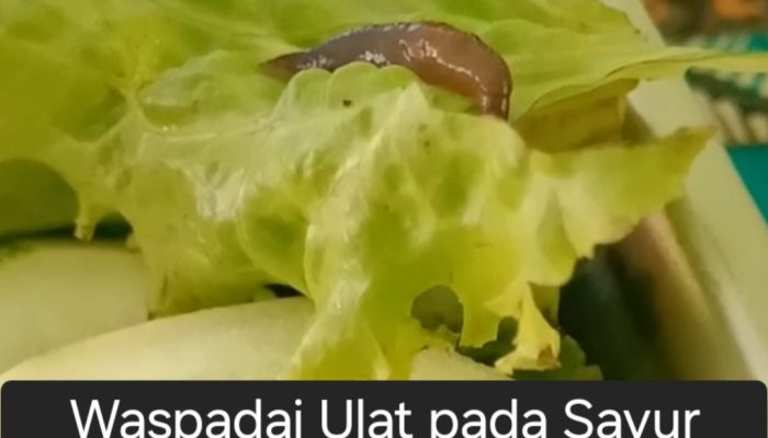 Screenshot 20251023 184253 Gallery