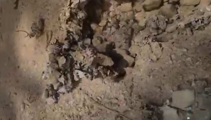 Proyek Jalan Dasuk Barat Dinilai Buruk dan Minim Transparansi, Kades Bungkam