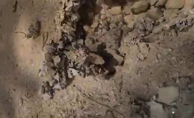 FOTO: Kualitas Jalan Aspal Desa Dasuk Barat Terlihat Sangat Memprihatinkan