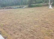 Petani Tagih Haknya, Ketua Bumdes Mawar Desa Banaresep Barat Akui Belum Bayar Upah