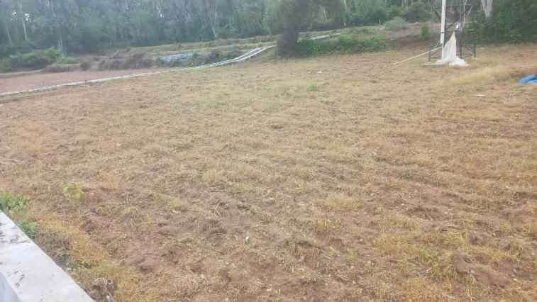 FOTO: Lahan Ketahanan Pangan Milik Bumdes Mawar, menurut informasi lahan tersebut telah dikelola secara mandiri oleh warga