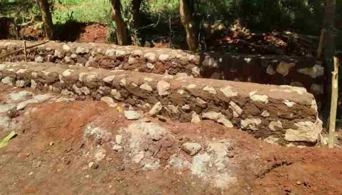 Proyek P3-TGAI di Tambak Sari Sumenep Dinilai Tak Tepat Sasaran dan Sarat Masalah, Pengawasan Disoal