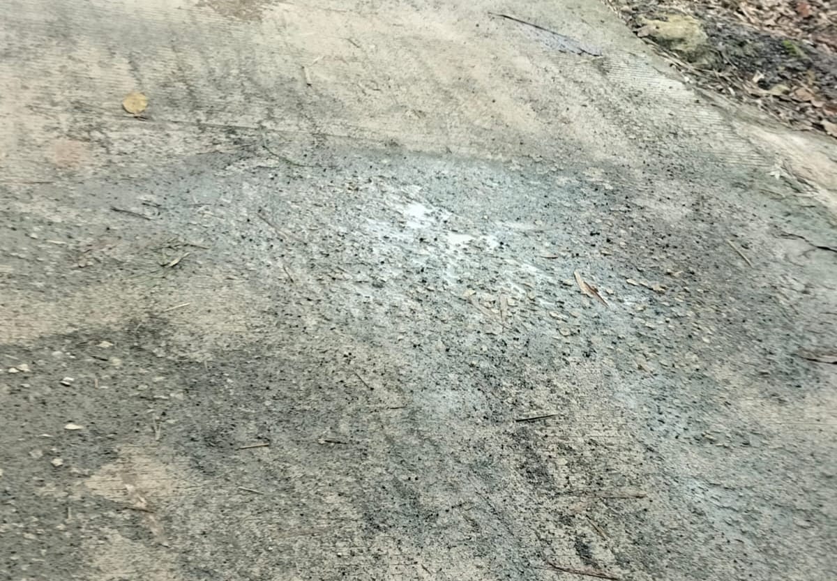 FOTO: Kondisi proyek rabat beton dana desa Jeruk Porot di salah-satu titik yang rusak mengelupas