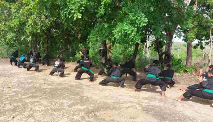 Pagar Nusa Gelar Latihan Intensif dan Apel Pasukan Inti untuk Pengamanan Konferensi PCNU Sumenep