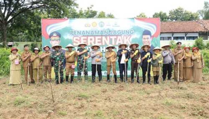 Pj Bupati Masrukin Pimpin Tanam Jagung Serentak, Dukung Swasembada Pangan 2025