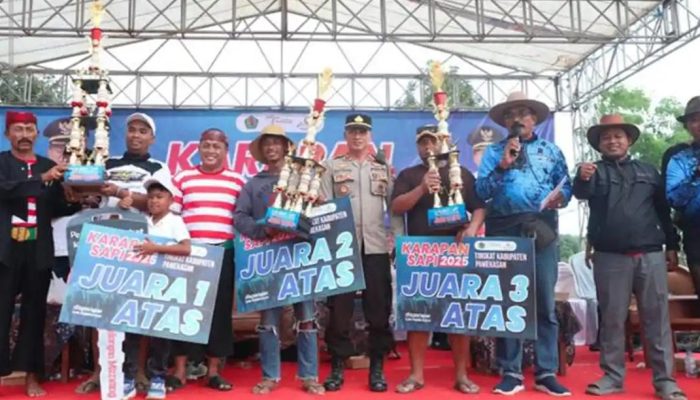 Karapan Sapi Tingkat Kabupaten Digelar di Pademawu, Bupati Ajak Jaga Warisan Budaya