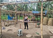 Polsek Ranuyoso Bongkar Arena Diduga Sabung Ayam di Wates Wetan