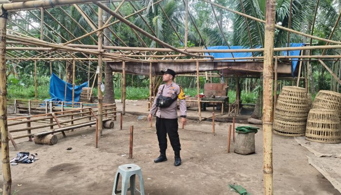 Polsek Ranuyoso Bongkar Arena Diduga Sabung Ayam di Wates Wetan