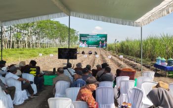 Kapolsek Kunir Hadiri Tanam Perdana Tebu Bongkar Ratoon 2026, Dukung Swasembada Gula Nasional