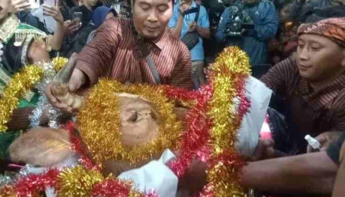 FOTO : Prosesi pemendaman kepala sapi di muara sumber air yang terletak di tengah rimbunan hutan bambu.