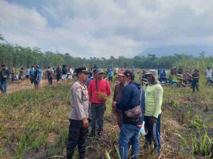 FOTO : Polres Lumajang bersama Polsek Randuagung melakukan monitoring serta pengamanan kegiatan reklaiming lahan HGU PT. Kalijeruk Baru